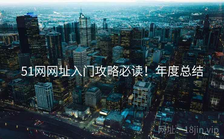 51网网址入门攻略必读！年度总结