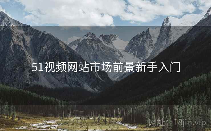 51视频网站市场前景新手入门