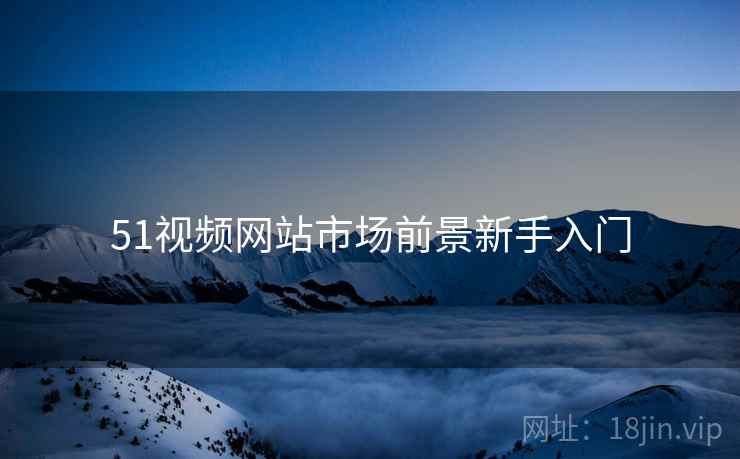 51视频网站市场前景新手入门