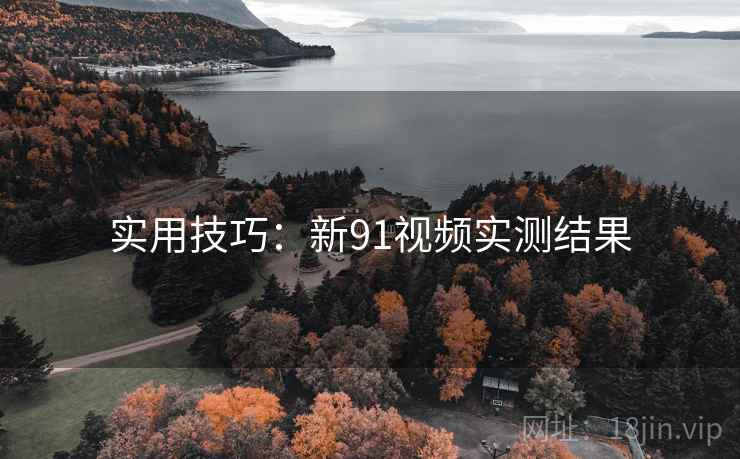 实用技巧：新91视频实测结果
